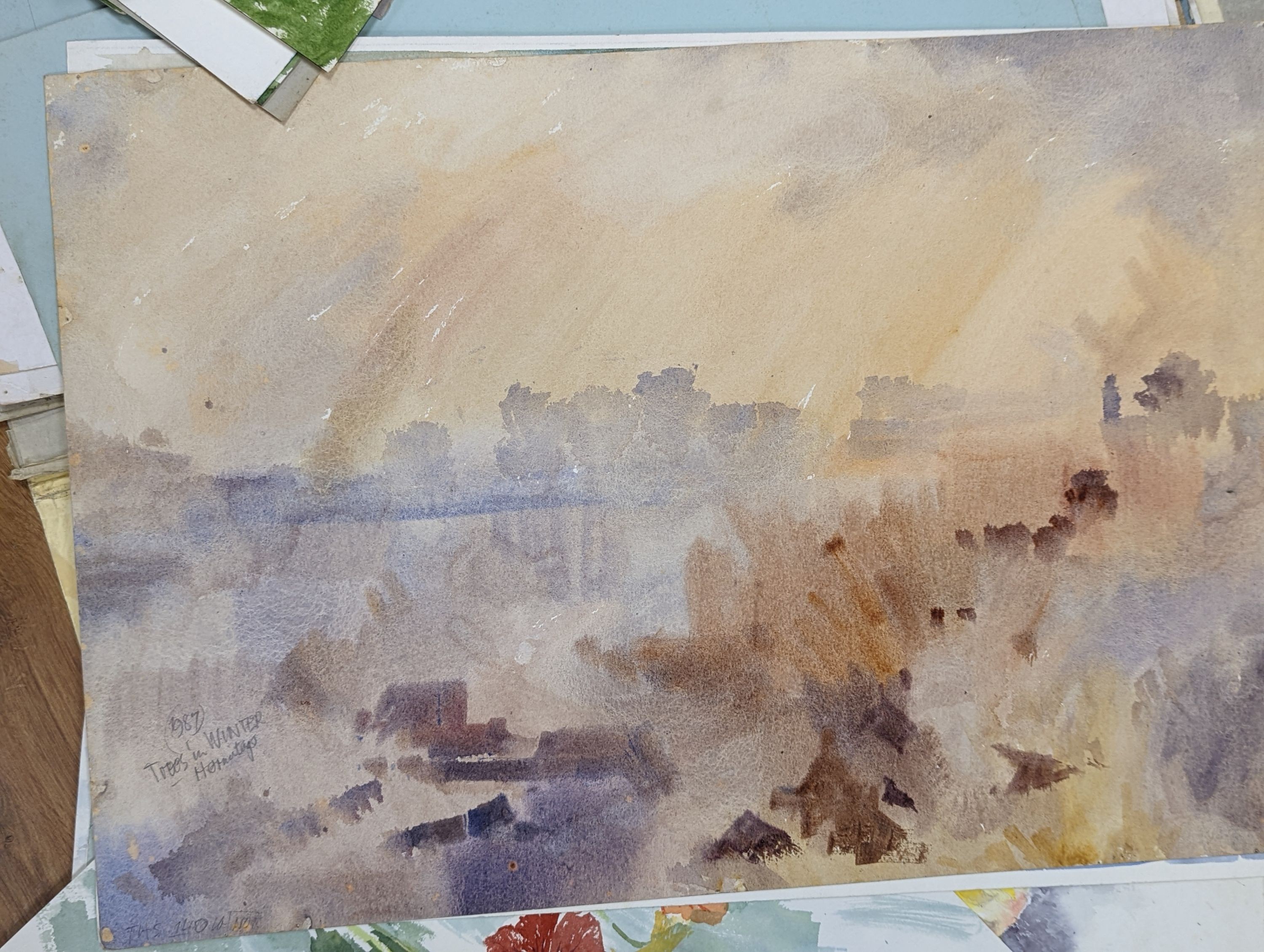 Michael Cadman (1920-2012), folio of assorted watercolours, Nature and botanical studies, largest 54 x 39cm